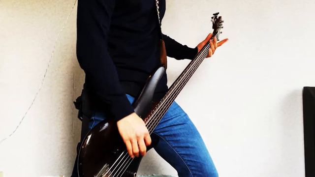 Suicide Silence - O.C.D || Bass Cover смотреть онлайн