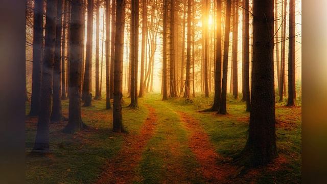 Yul Dogası | Юл догасы