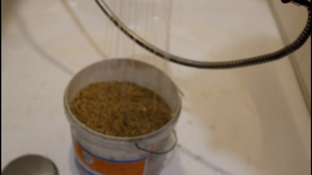 Пророщенное зерно для кур? Элементарно! смотреть онлайн