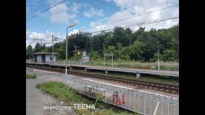 Санаторий  "Тесна" Кашира.  (лето 2022г.)