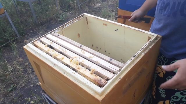 ЧТО ДЕЛАТЬ НУЖЕН СОВЕТ смотреть онлайн