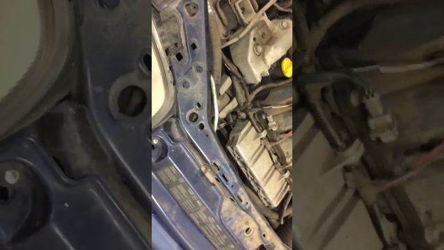 Renault Thalia (1.4 , generátor elhelyezkedése) смотреть онлайн