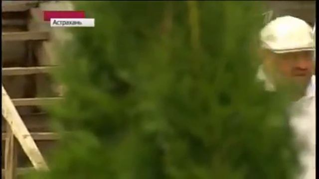 Воскресное Время  (30.06.2013)