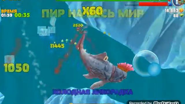 игра акула смотреть онлайн