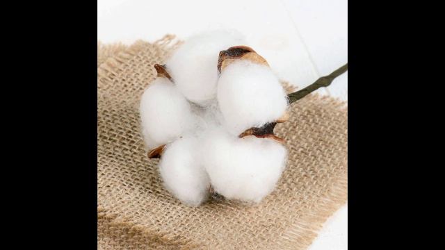 3. А знаете ли вы pro: Наполнитель вставки Zippo смотреть онлайн