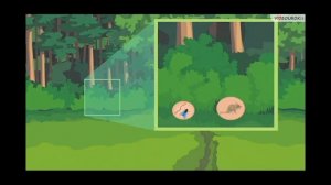 Окружающий мир «Природоохранные знаки»