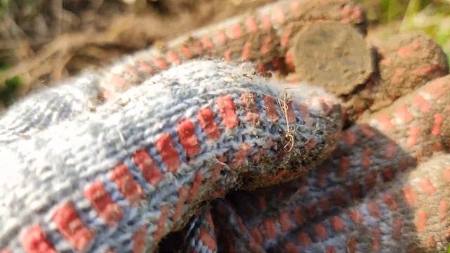 КОП 2020 | ЧТО НАШЁЛ СРАЗУ И НЕ ПОНЯЛ. смотреть онлайн