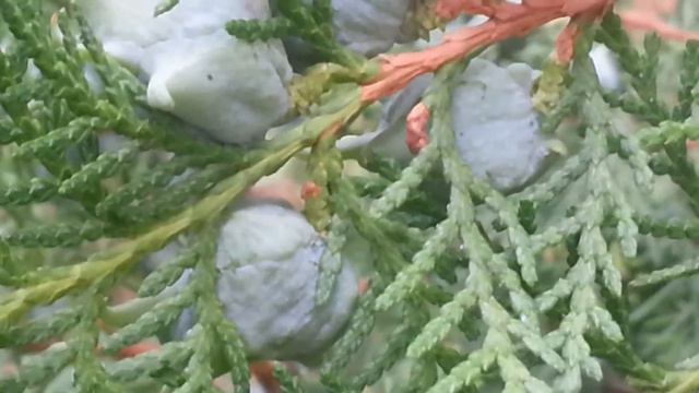 Доброго вечера! смотреть онлайн