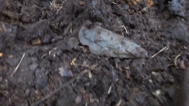 Metal Detecting Finds The Site of a Lifetime! Unearthing Incredible Treasures! смотреть онлайн