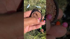 Ловим пеленгаса без червя нереиса ! #кефаль #пеленгас #ростовдон #рыбалка #нереис #активатор