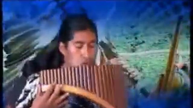 ECUADOR ANDES PASTOR SOLITARIO Прекрасный Орёл смотреть онлайн