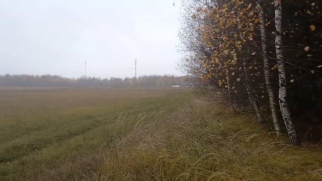 Тверская область. Красота. Центральная Россия. Золотая аграрная осень 2022. смотреть онлайн