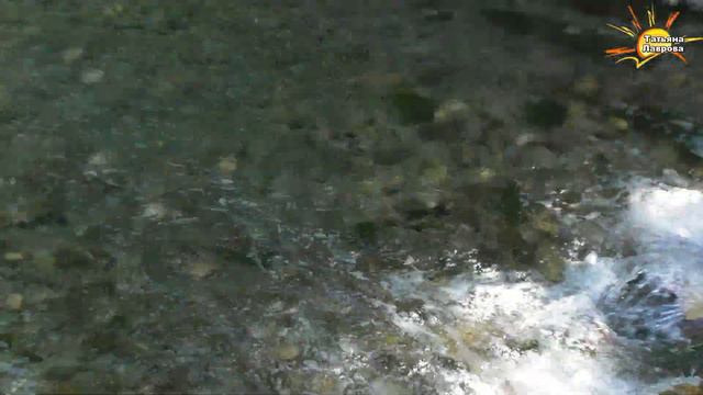 Шымкентский оазис. р.КОШКАР АТА. смотреть онлайн