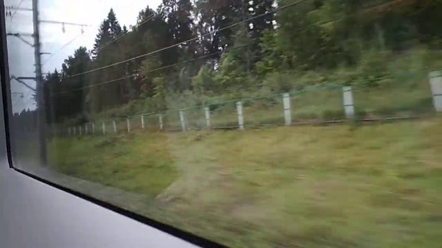 Сапсан на скорости 220 км/ч недалеко от Лихославля смотреть онлайн