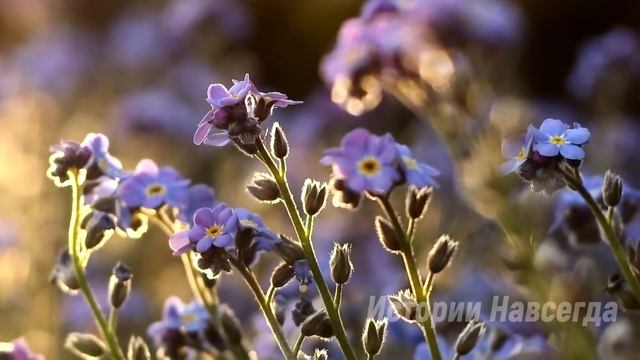 Узнав семейную тайну жены, муж с любовницей пробрался в дом. Но они даже не догадывались… смотреть онлайн
