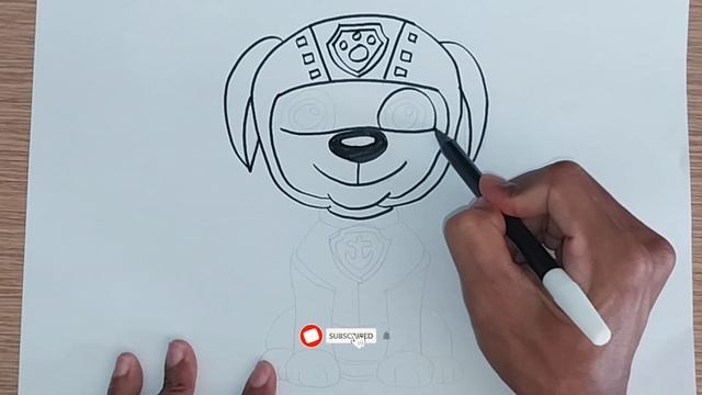 How to Draw Zuma ? Paw Patrol | Step by Step смотреть онлайн
