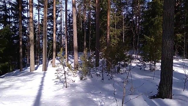 Санкт-Петербург Россия имение Бобочино поселок Поляны (ст.н.Церковная деревня(Мозjгопи))2022(7531) смотреть онлайн
