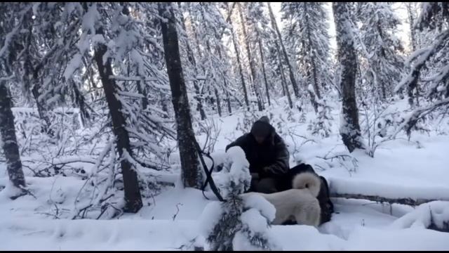 Выезд на охоту. смотреть онлайн