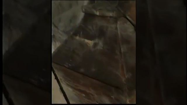 Мощи святых угодников Божиих смотреть онлайн