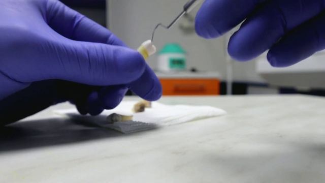 Лимонный Сок - Король Отбеливания смотреть онлайн