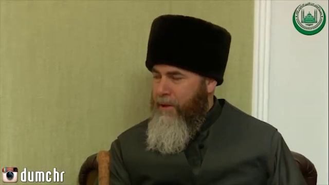 Гости из Казахстана смотреть онлайн
