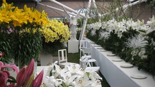 Лилии из "Сада цветов". Голландия. Кёкенхоф. Павильон Виллема - Александра смотреть онлайн