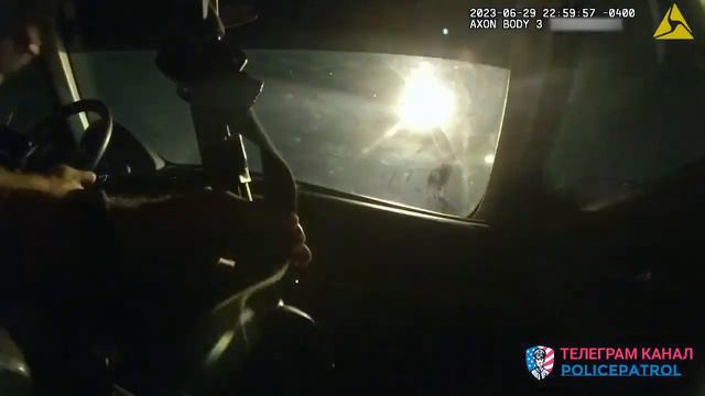 Расстреляли водителя / Применение оружия полицией смотреть онлайн