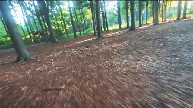 FPV-drone: in the woods with the Rocket Plus and Bumblebee V3 смотреть онлайн
