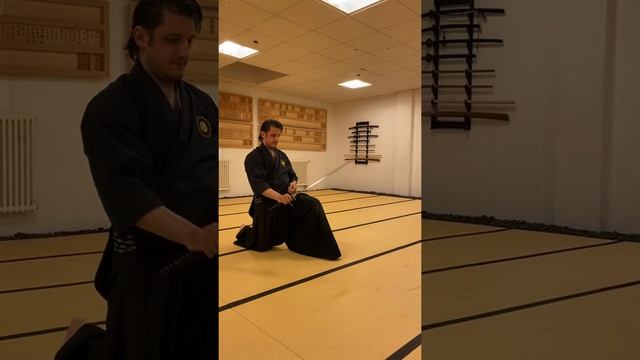 Mugai Ryu Iaido Kata: Shin of the Goyo set / 無外流居合　五用　真 смотреть онлайн