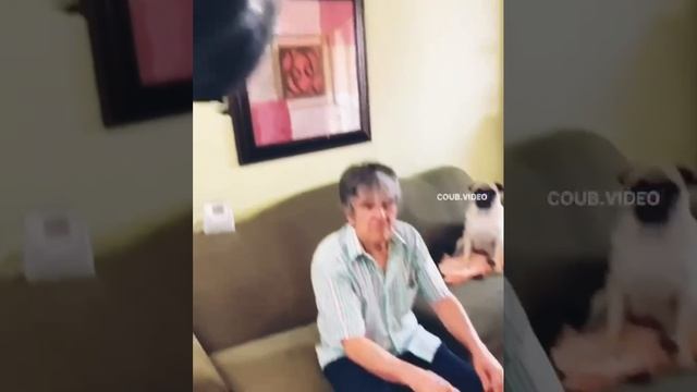 Газовая атака ?