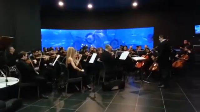 Akvaryum da Cumhuriyet Senfonisi смотреть онлайн