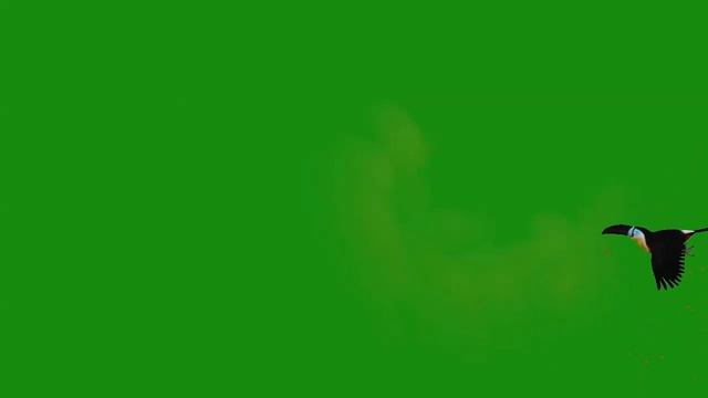 ФУТАЖ ( РАЙСКАЯ ПТИЦА ) НА ЗЕЛЕНОМ ФОНЕ-ХРОМАКЕЙ смотреть онлайн