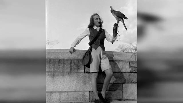 The History Of Bermuda Shorts, Knee-Length Unique Clothing Once Inspired By British Army And ! смотреть онлайн