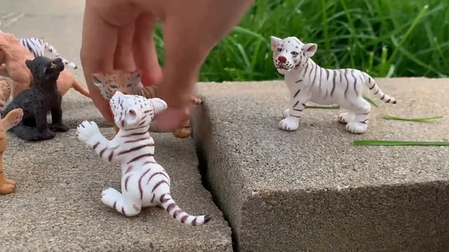 A Tiger story / Schleich ￼/ смотреть онлайн
