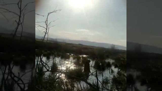 не оставляйте сети за сабой убирайте и за этого умирает много рыбы смотреть онлайн
