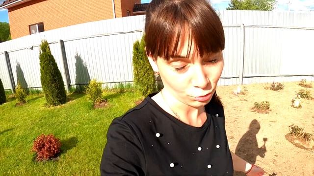 Дизайн участка | Всё своими руками | Туи на участке | Как мы живём за городом | смотреть онлайн