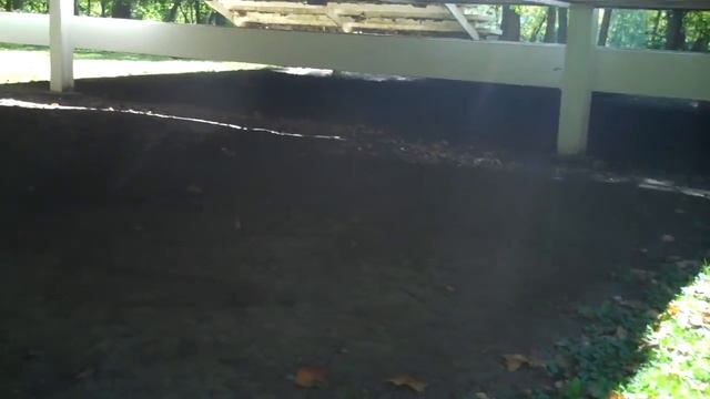 Ludwig Mies van der Rohe's Farnsworth House Guided Tour, Plano, Illinois, September 30, 2017 5/5 смотреть онлайн