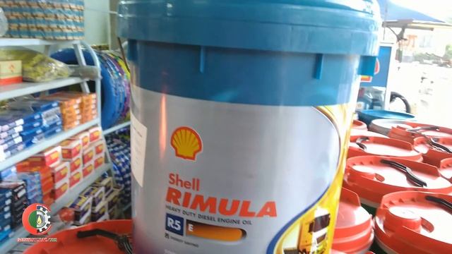 Shell rimula R5 E смотреть онлайн