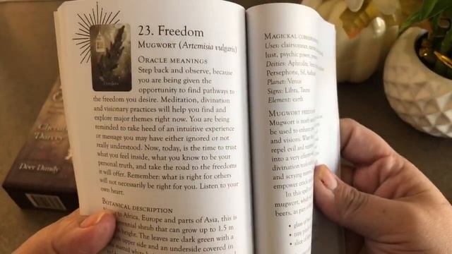 My Plant Themed Tarot and Oracle Collection смотреть онлайн