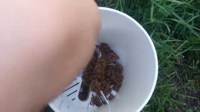 Как пересадить кактус. смотреть онлайн