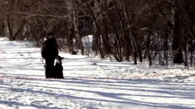 ФРАГМЕНТ ТРЕНИРОВКИ по ОКД СТАФФ ИЛЬХАН смотреть онлайн