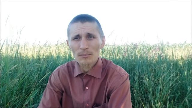 Выращивание огурцов и тыквы - дикий огород / скрытый огород. смотреть онлайн