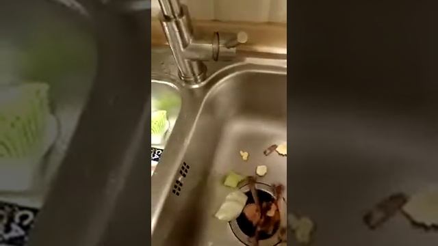 Bone Crusher BC 910 #ОтзывПокупателя