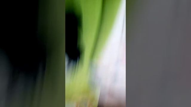 Челендж пошикоти мне ноги смотреть онлайн