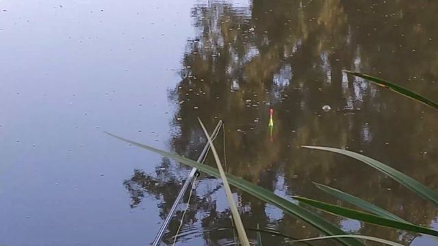 Рыбалка на поплавок как в детстве! смотреть онлайн