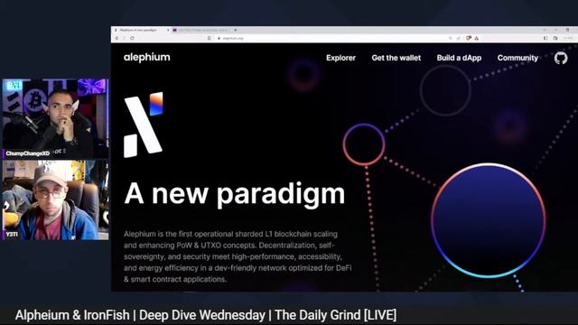 Alephium & IronFish | Crypto Wallet / Project Deep Dive смотреть онлайн