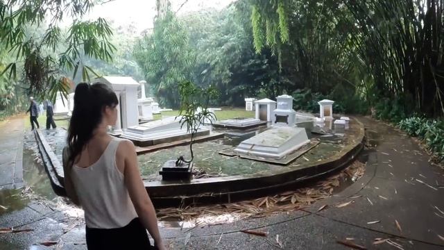 Bogor Botanical Garden, JAVA, INDONESIA смотреть онлайн