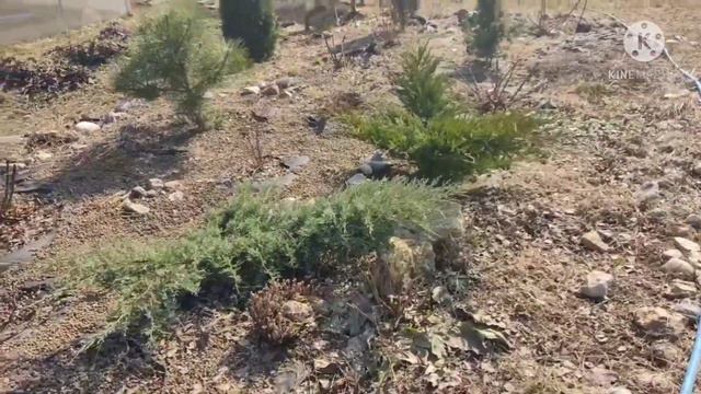 Обзор дачи 11 апреля 2021