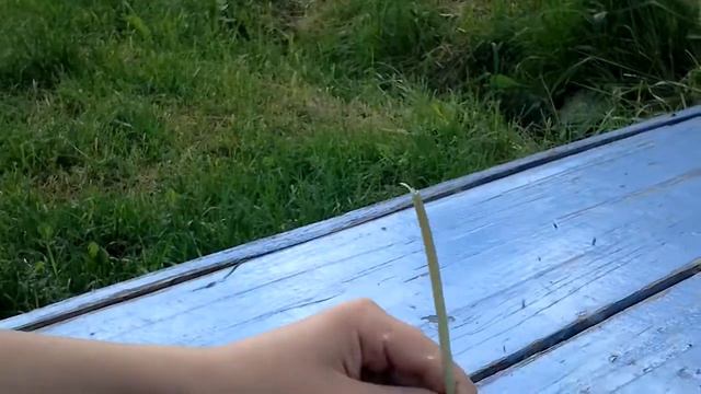 Одуванчики одуванчики их стрегут большие мальчики смотреть онлайн
