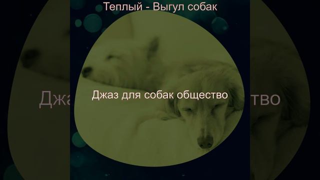 Впечатление (Собаки) смотреть онлайн